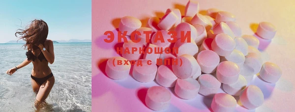стаф Богородск