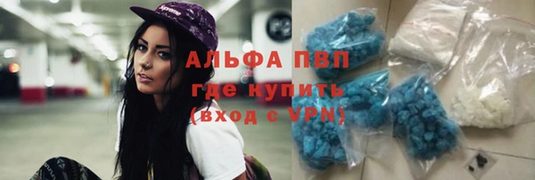 PSILOCYBIN Богданович