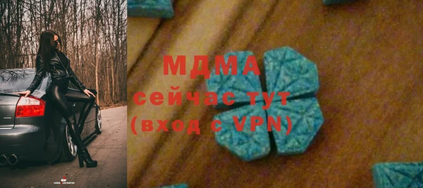 PSILOCYBIN Богданович