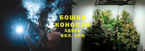 PSILOCYBIN Богданович