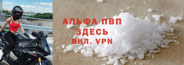 PSILOCYBIN Богданович